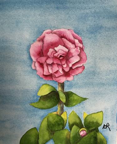 Original Floral Paintings by Nancy Riedell