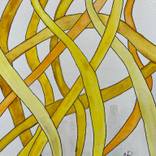 Collection Doodle Collection