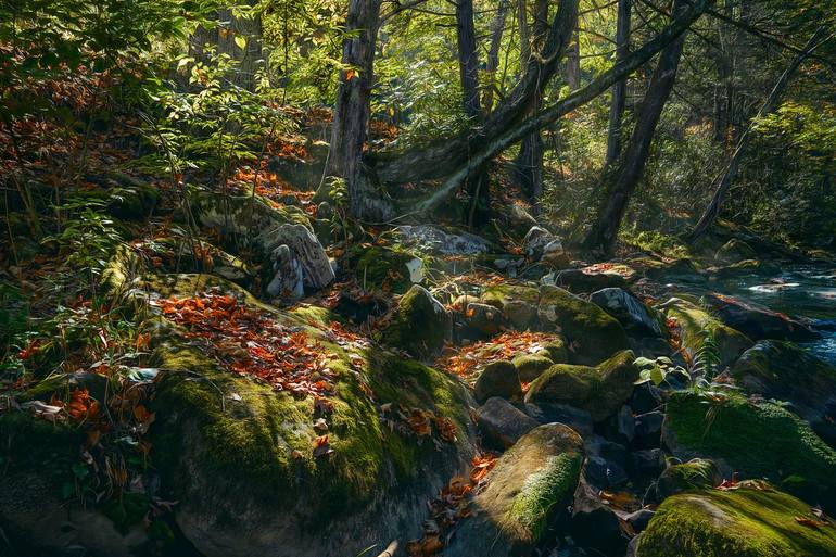 View in a Room Artwork