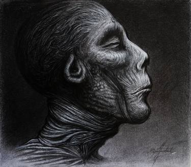 Print of Mortality Drawings by Marko Karadjinovic