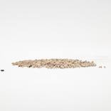A Flock of Sheep - Limited Edition of 3 by Uwe Langmann