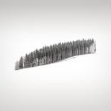 A Forrest - Limited Edition of 15 by Uwe Langmann