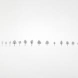 Sixteen - Limited Edition of 15 by Uwe Langmann