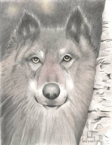 Print of Animal Drawings by Judy Imeson