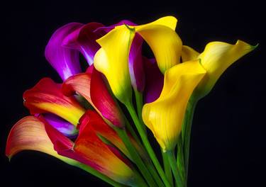 Original Fine Art Floral Photography by Garry Gay