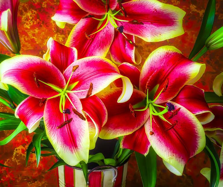 Bouquet Of Tiger lilies Photography by Garry Gay