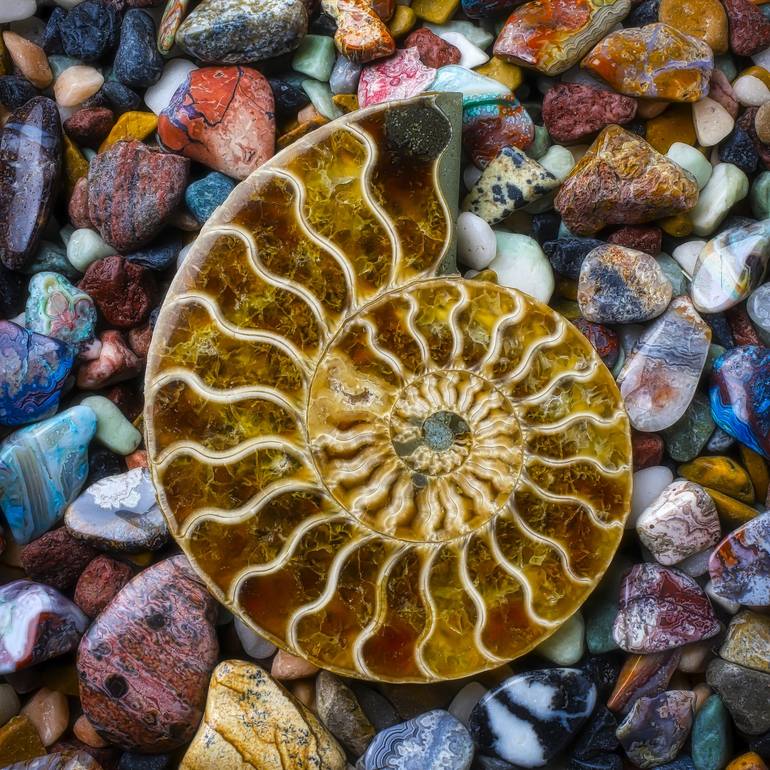 Reflecting Glass Marbles Photograph by Garry Gay - Fine Art America