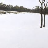 Winter by Robert Sim