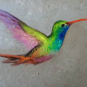 Rainbow hummingbird