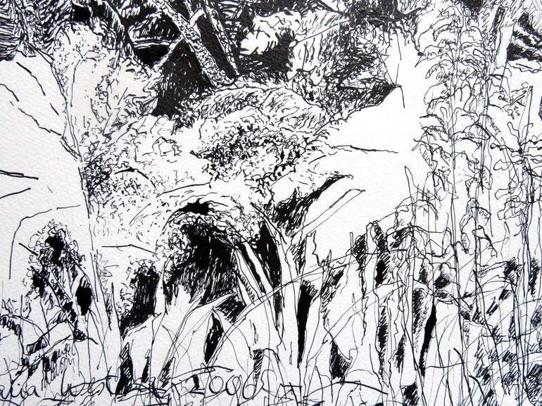 Original Botanic Drawing by Maria Westra
