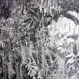 Collection Gifts For Green Thumbs