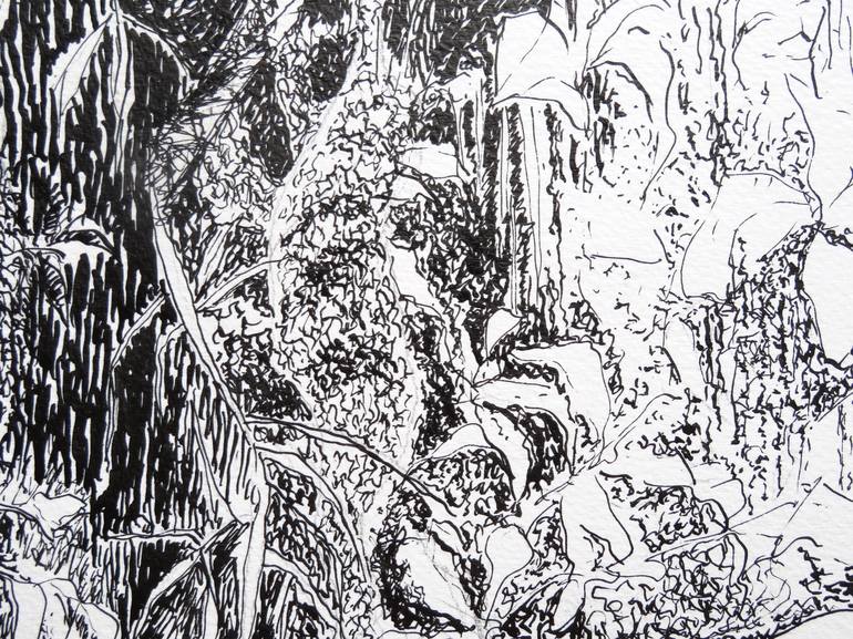 Original Abstract Garden Drawing by Maria Westra