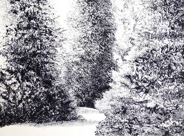 Print of Tree Drawings by Maria Westra
