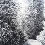 pendrawing of trees. Close up. Realism.I am inspired by things that happen around me. That can be my garden or larger my backyard like the Bijlmerpark, designed by Francien Houben. Signed. Not framed.