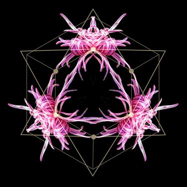 Original Conceptual Geometric Mixed Media by Sarina Villareal