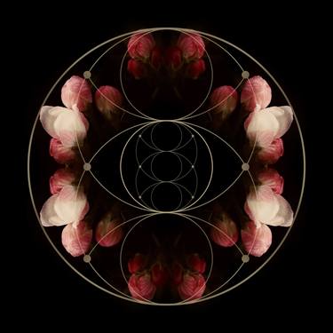 Sacred Eye Geometry with Apple Blossoms thumb