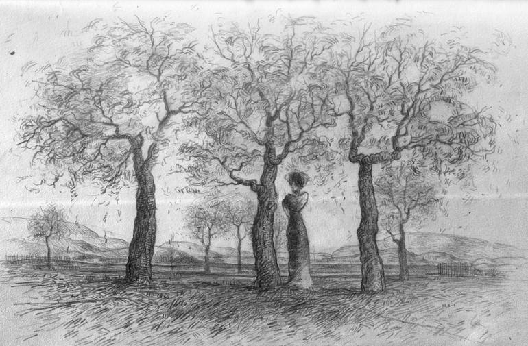 apricot tree drawing