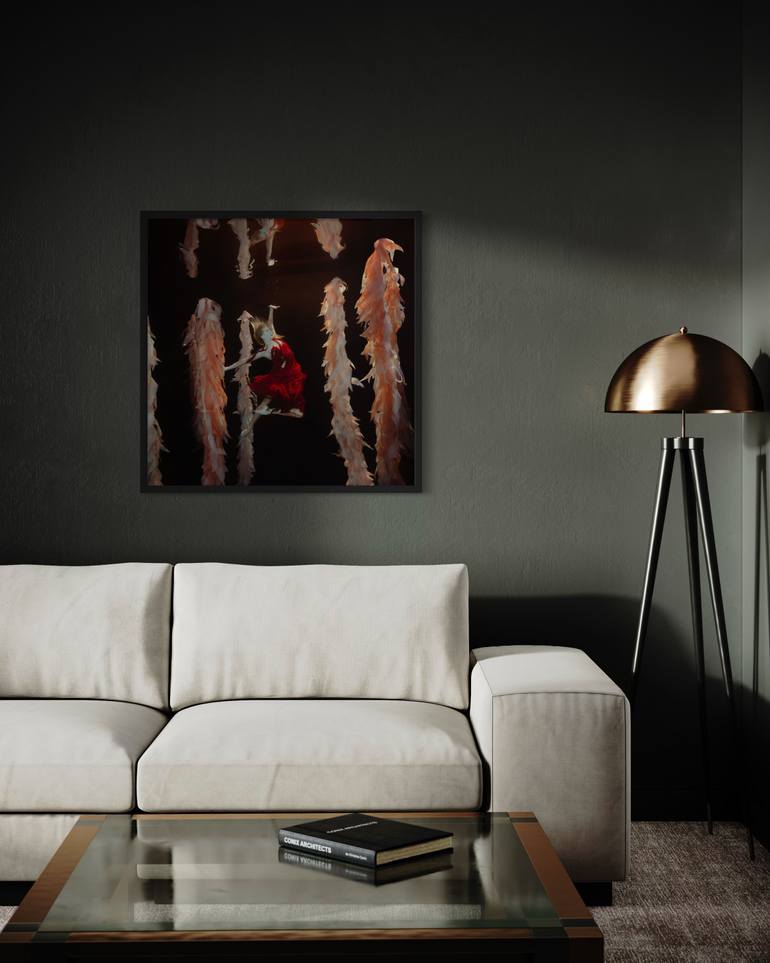 Original Conceptual Women Photography by Mallory Morrison