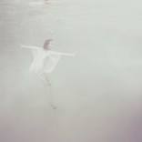 Collection Pantone Color of the Year: Cloud Dancer