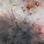 Limerance by Joni-Leigh Doran