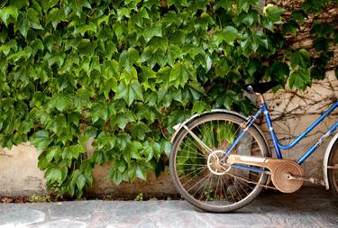 Print of Bicycle Photography by Norberto Mario Laura