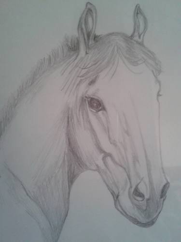 Horse portrait thumb