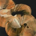 Collection Curator Picks: The Other Art Fair Brooklyn