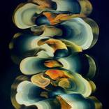POEM II by Genevieve Leavold