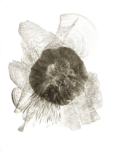 Print of Abstract Nature Drawings by Genevieve Leavold