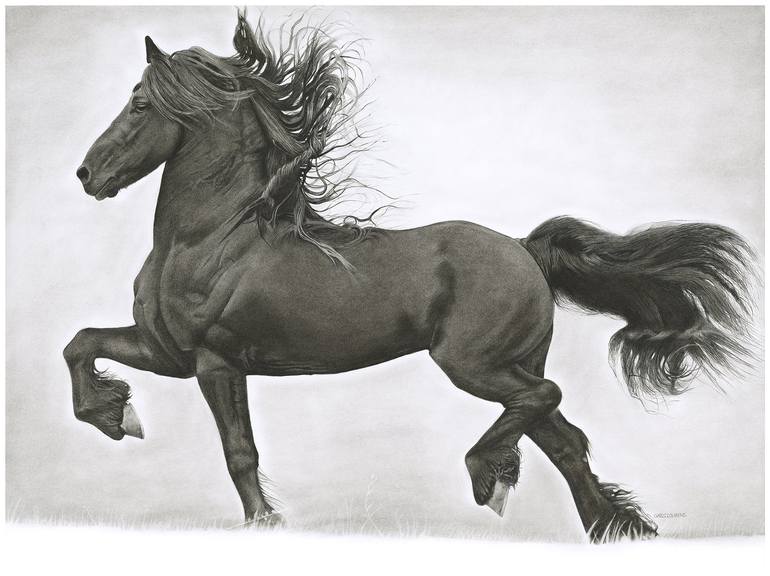 Friesian Horse Drawing by Greg Lourens Saatchi Art