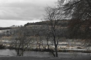 Les arbres à côté de la rivière thumb