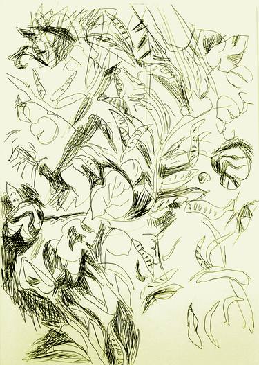 Original Conceptual Botanic Printmaking by Margo Levittoux
