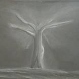 Collection Charcoal / Mixed Media