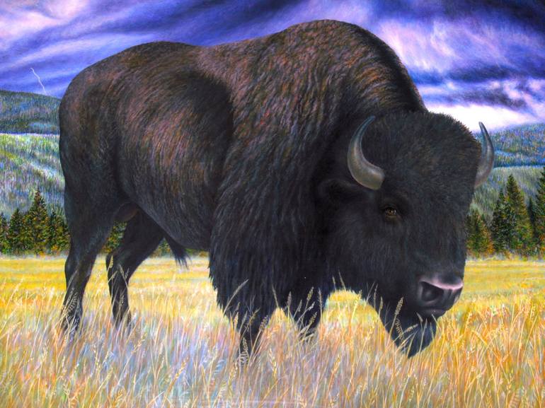 Yellowstone Bison Painting by Brendon Connors | Saatchi Art