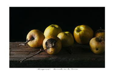 "Old apples" - Limited Edition 1 of 7 thumb
