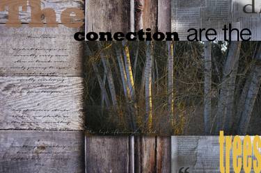 The trees Connection - Limited Edition 1 of 7 thumb