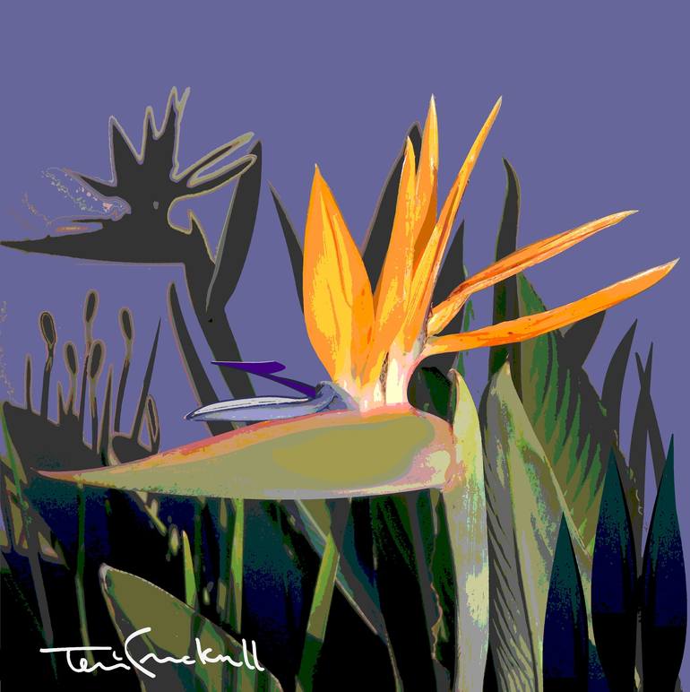 Print of Illustration Floral Mixed Media by Terri Cracknell
