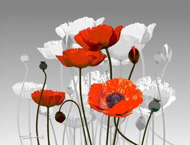 "POPPIES" - Limited Edition 3 of 20 thumb