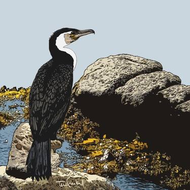 " CORMORANT #2 " - Limited Edition of 20 thumb