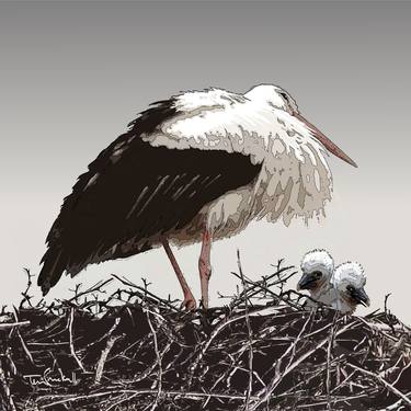 " STORK NEST " - Limited Edition of 20 thumb