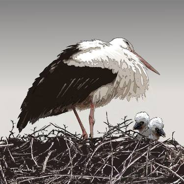 "STORKS NEST" - Limited Edition of 20 thumb