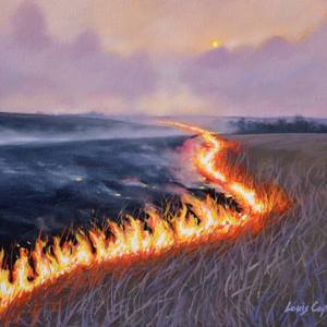 Collection Prairie Fire and Landscape