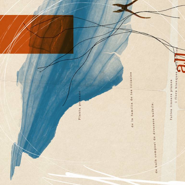 Original Digital Art Abstract Digital by Vicenç Marco