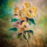 Les 3 fleurs by Denis Canut