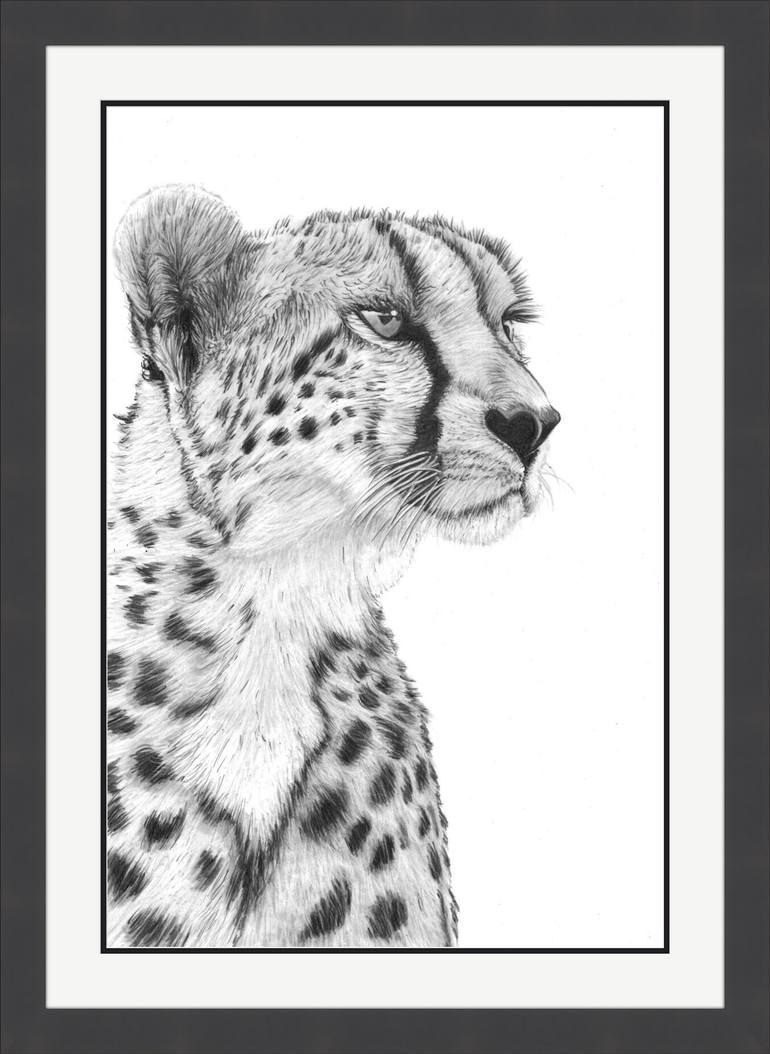 Original Photorealism Animal Drawing by Paul Stowe