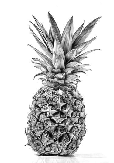 Original Photorealism Still Life Drawings by Paul Stowe