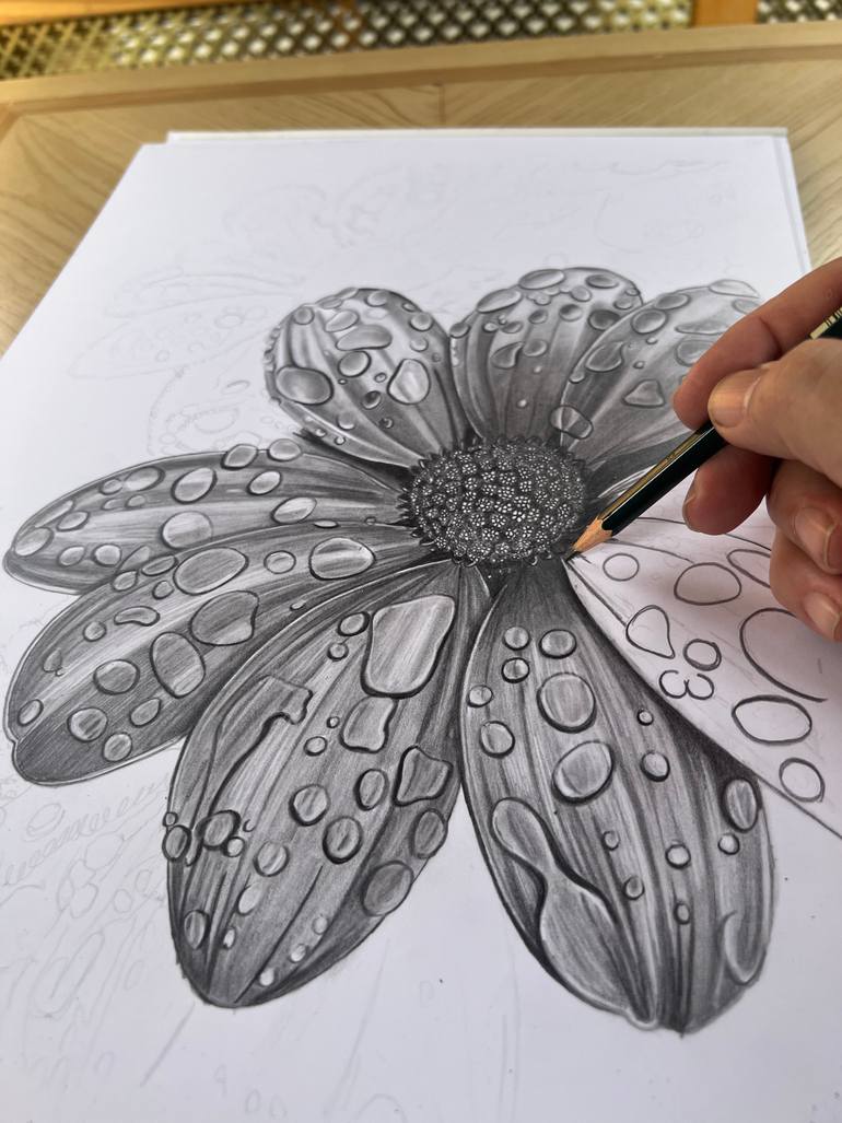 Original Photorealism Botanic Drawing by Paul Stowe