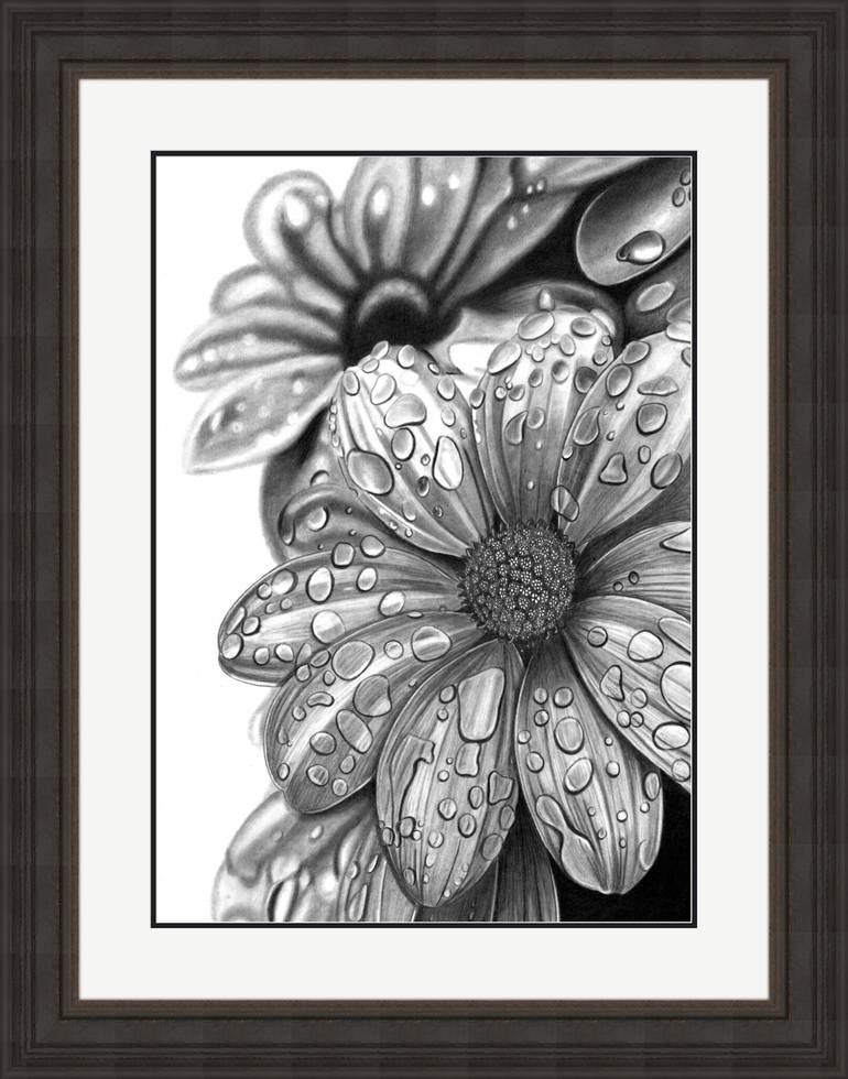 Original Photorealism Botanic Drawing by Paul Stowe