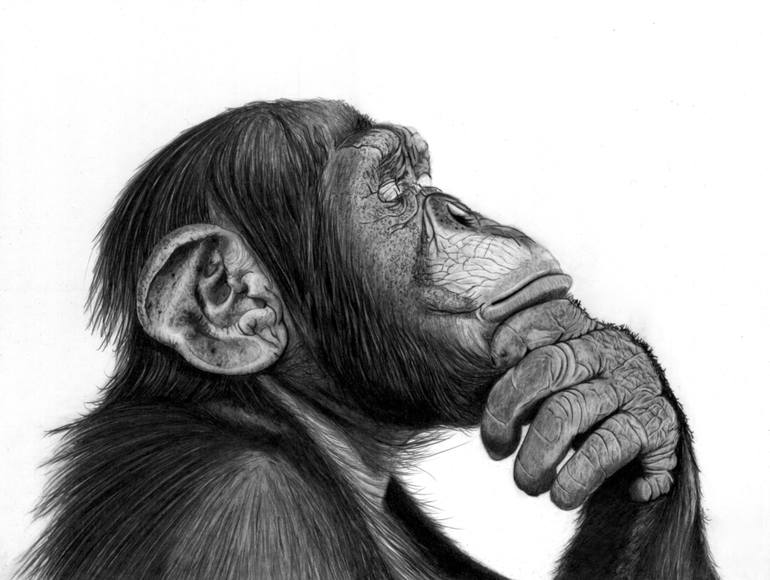 The Thinker Drawing by Paul Stowe | Saatchi Art