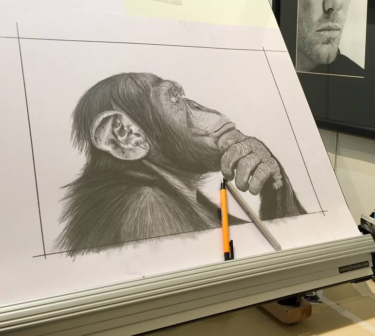 Original Figurative Animal Drawing by Paul Stowe